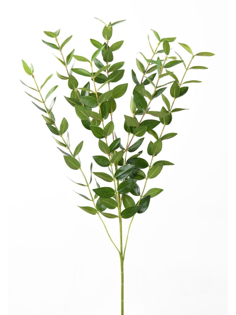 Eucalptus artificiel en tige