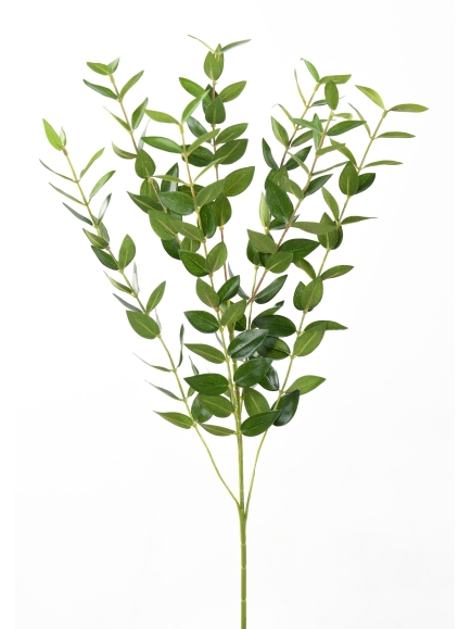 Eucalptus artificiel en tige