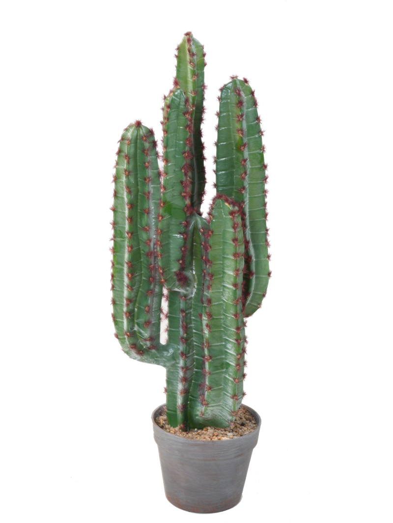 Cactus artificiel 77