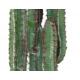 Cactus artificiel 77
