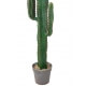 Cactus "Mexico"- Hauteur 138 cm