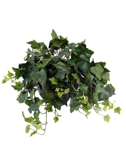 Lierres artificiels Cala résistant aux UV - 75 cm vendus par 3