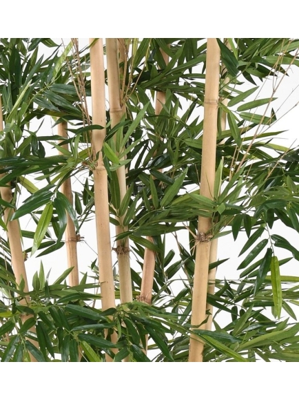 Bambou artificiel géant 320 cm