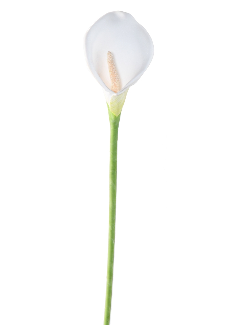 Arôme artificiel