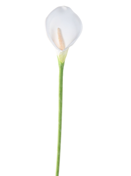 Arôme artificiel