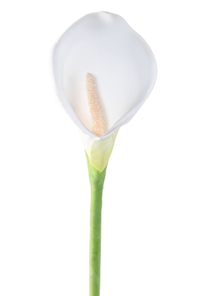 Arôme artificiel