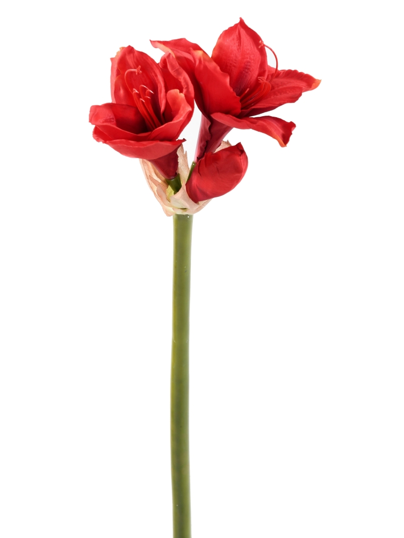 Tiges Amaryllis artificielles