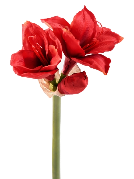 Tiges Amaryllis artificielles