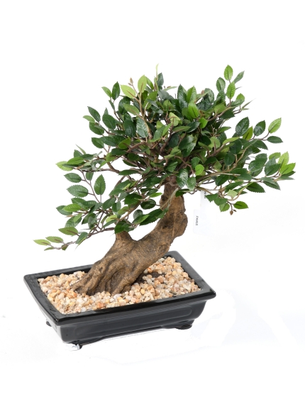 Bonsaï artificiel Orme