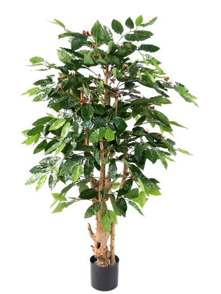 Caféier artificiel tronc noueud