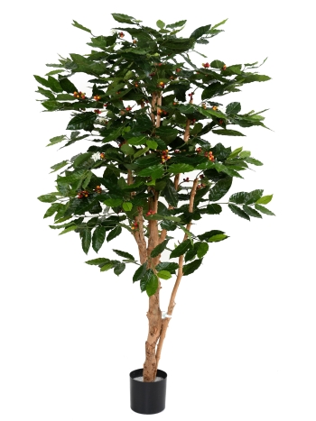 Caféier artificiel tronc noueux