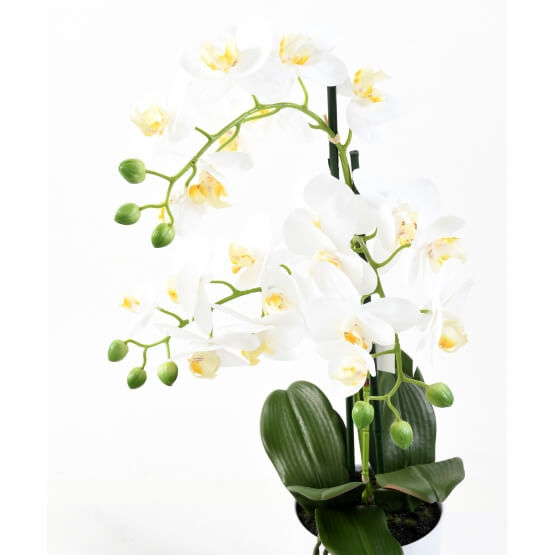 Orchidée artificielle Phalaénopsis en pot