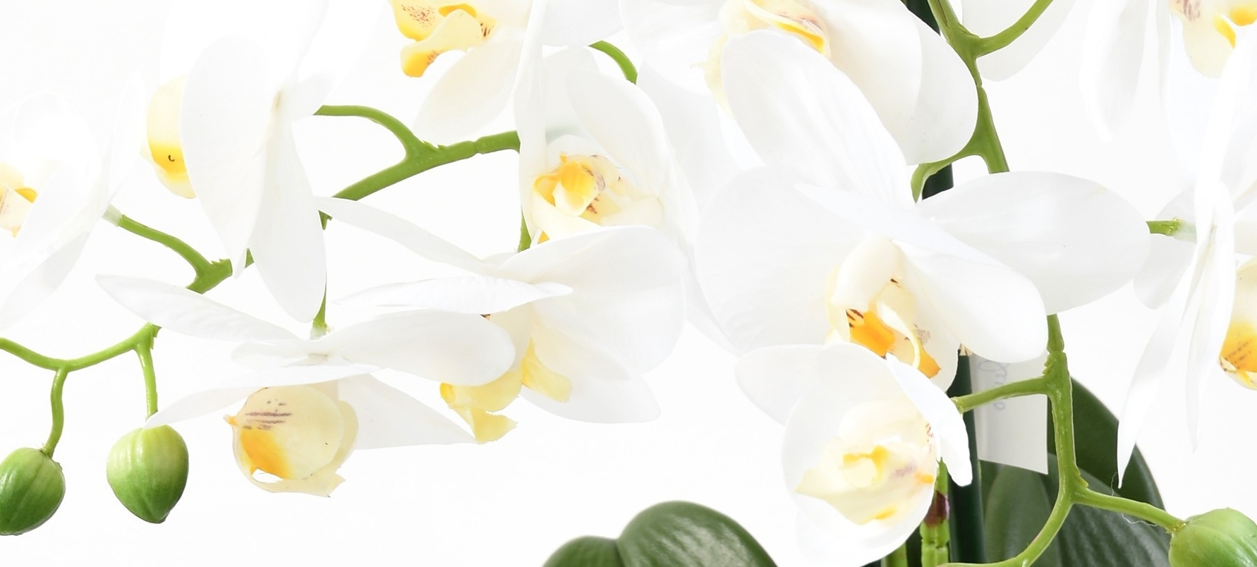 Orchidee Artificiel En Pot