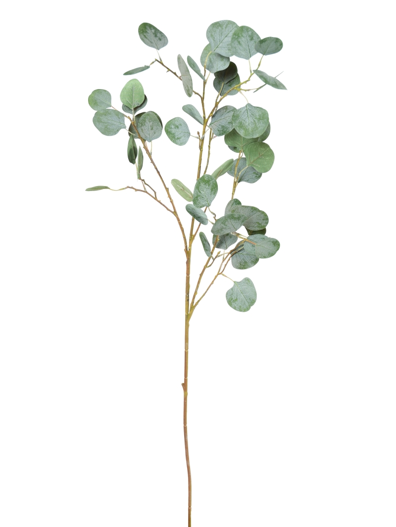 Eucalyptus spray artificiel