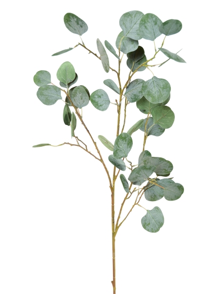 Eucalyptus spray artificiel