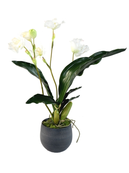Orchidée artificielle Lycaste en pot déco