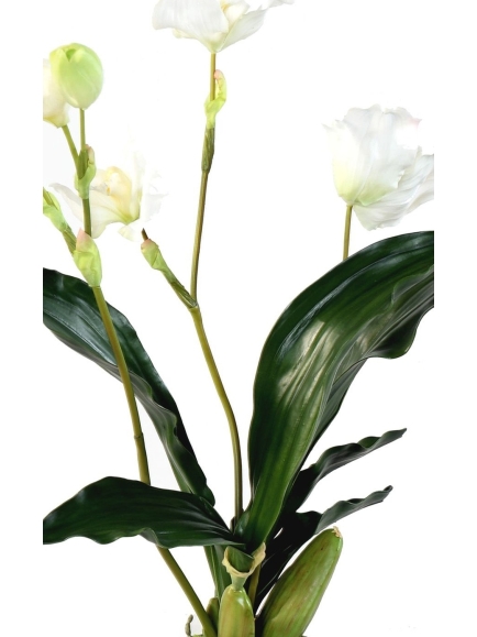 Orchidée artificielle Lycaste en pot déco