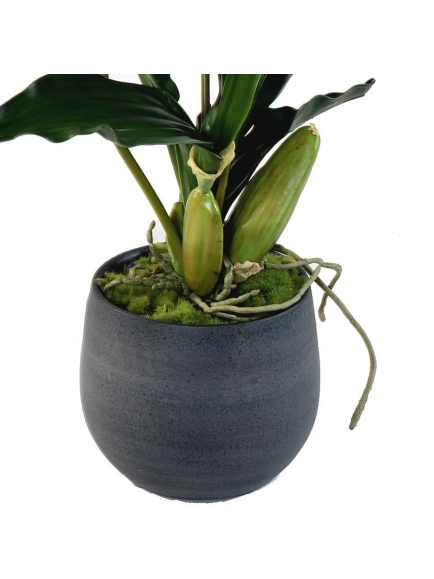 Orchidée artificielle Lycaste en pot déco