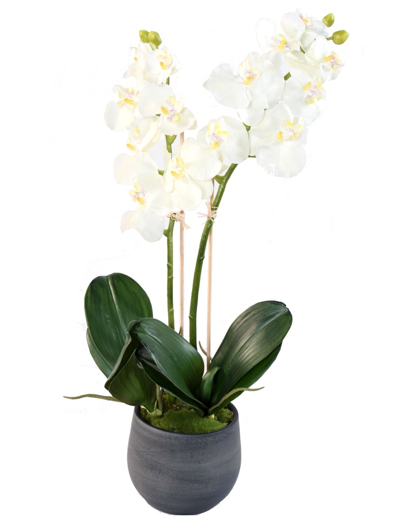 Orchidée artificielle Phalaénopsis en pot déco  Hauteur 65 cm - Largeur 30 cm