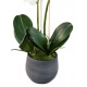 Orchidée artificielle Phalaénopsis en pot déco  Hauteur 65 cm - Largeur 30 cm