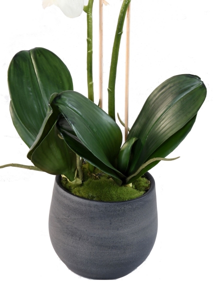 Orchidée artificielle Phalaénopsis en pot déco  Hauteur 65 cm - Largeur 30 cm
