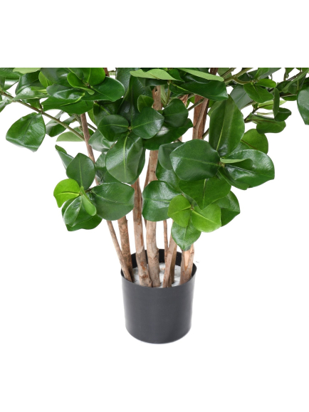 Clusia buisson artificiel