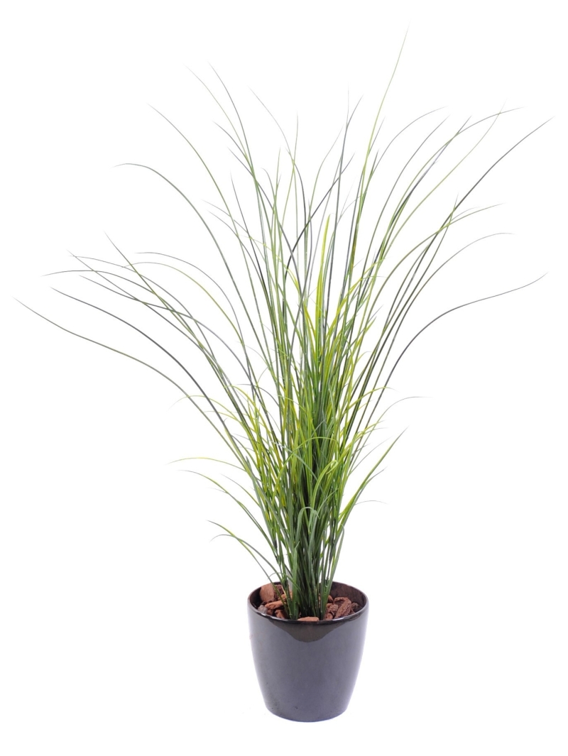 Graminée artificielle Herbe