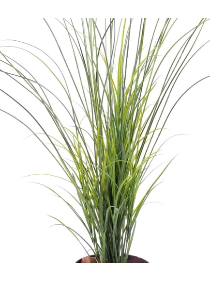 Graminée artificielle Herbe