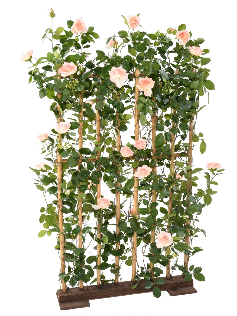 Rosier artificiel Royal palissade