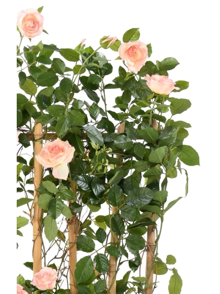 Rosier artificiel Royal palissade