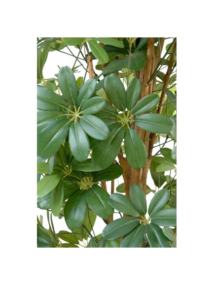 Schefflera artificiel 150 cm