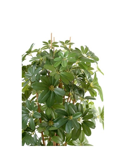 Schefflera artificiel 150 cm