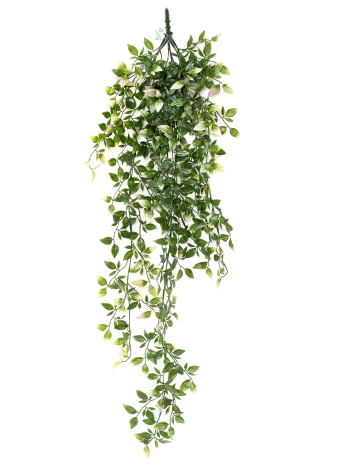 Tradescantia chute 85 cm EXTERIEUR