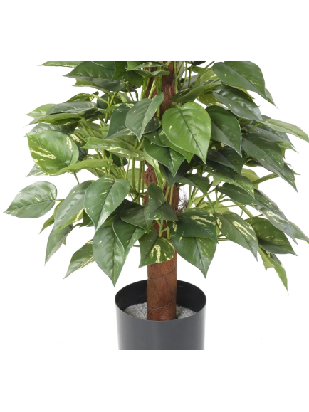 Pothos artificiel