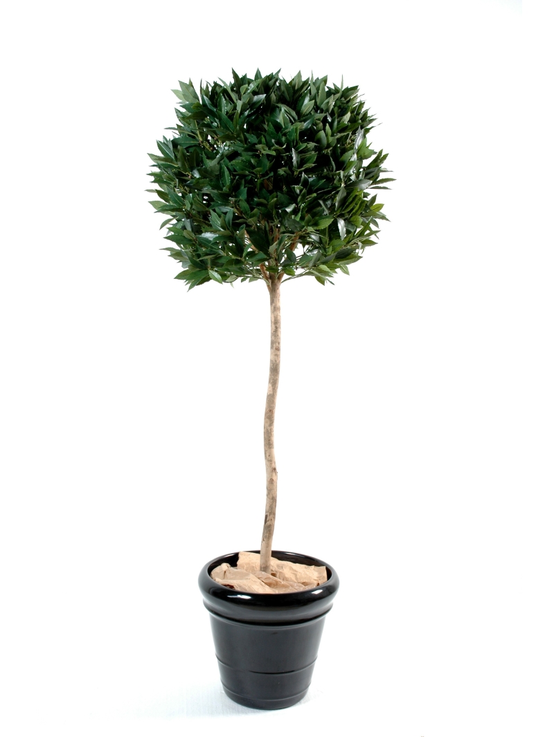 Laurier artificiel tige bois 150 cm