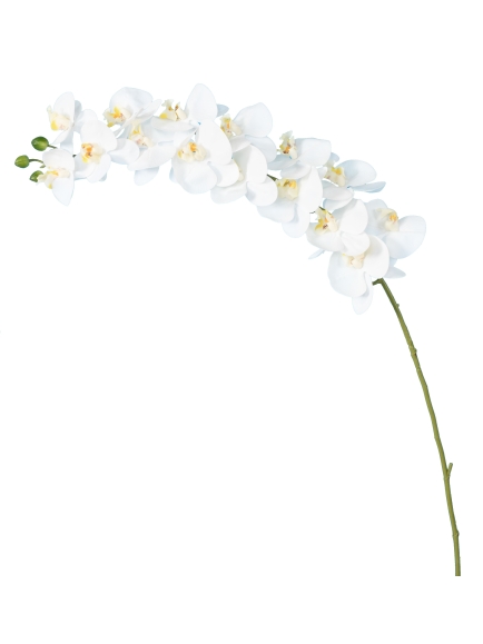Orchidée artificielle Phalaénopsis