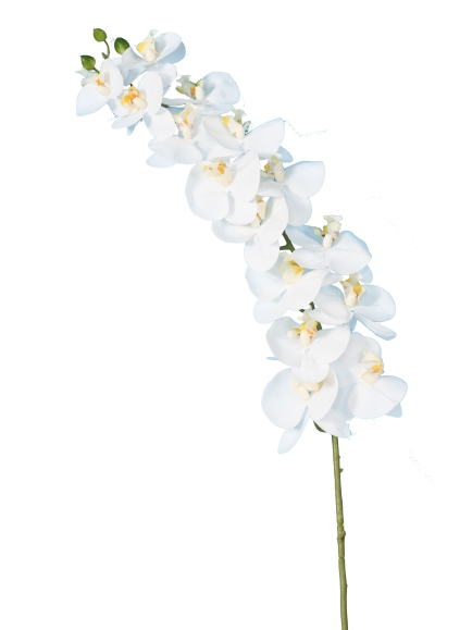 Orchidée artificielle Phalaénopsis
