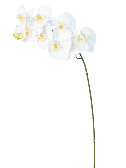 Phalaénopsis Artificielle 98 cm