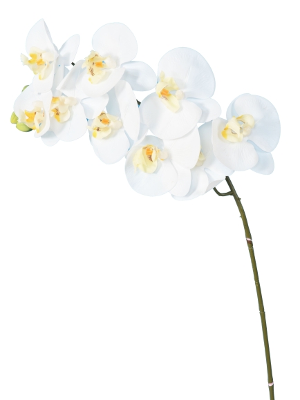 Phalaénopsis Artificielle 98 cm