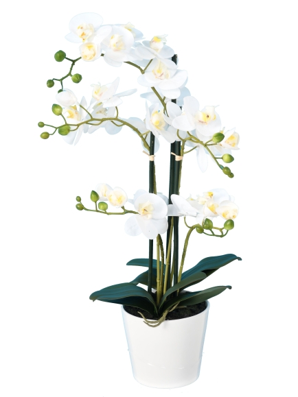 Phalaénopsis artificielle en pot