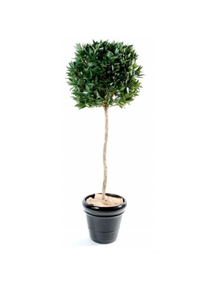 Laurier Boule tige artificiel ANTI-UV
