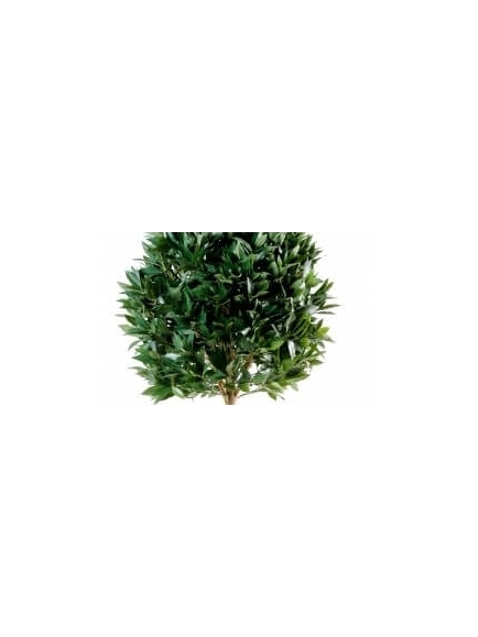 Laurier Boule tige artificiel ANTI-UV
