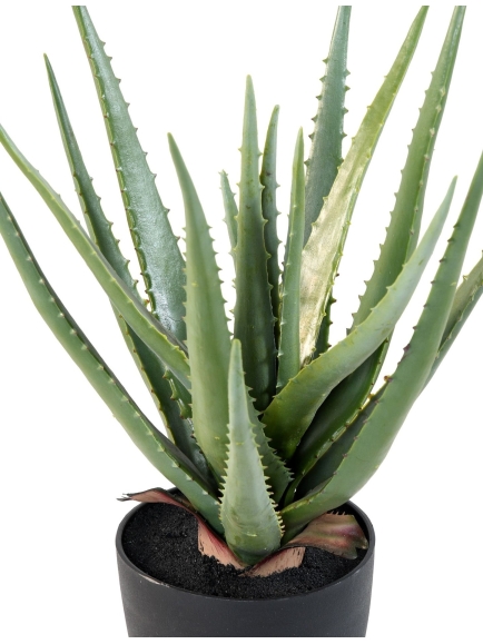 Aloé artificielle