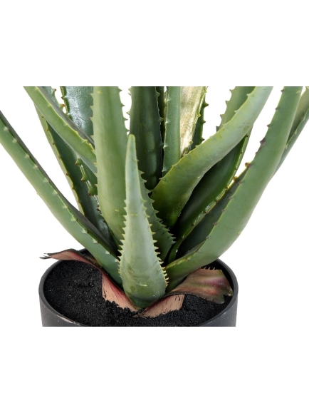 Aloé artificielle