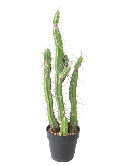 Cactus artificiels FINGERS