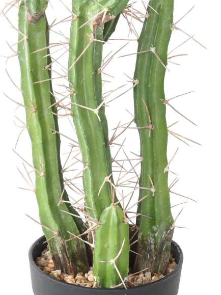 Cactus artificiels FINGERS