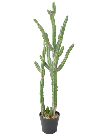 Cactus artificiels fingers