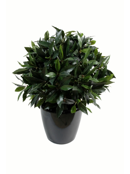Laurier boule luxe diam 40 cm