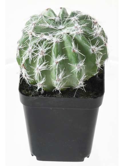 Cactus artificiel et Succulent artificiel assortis