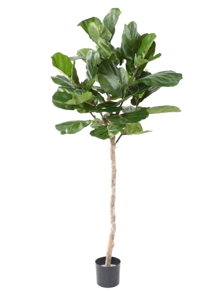 Ficus Lyrata artificiel TIGE